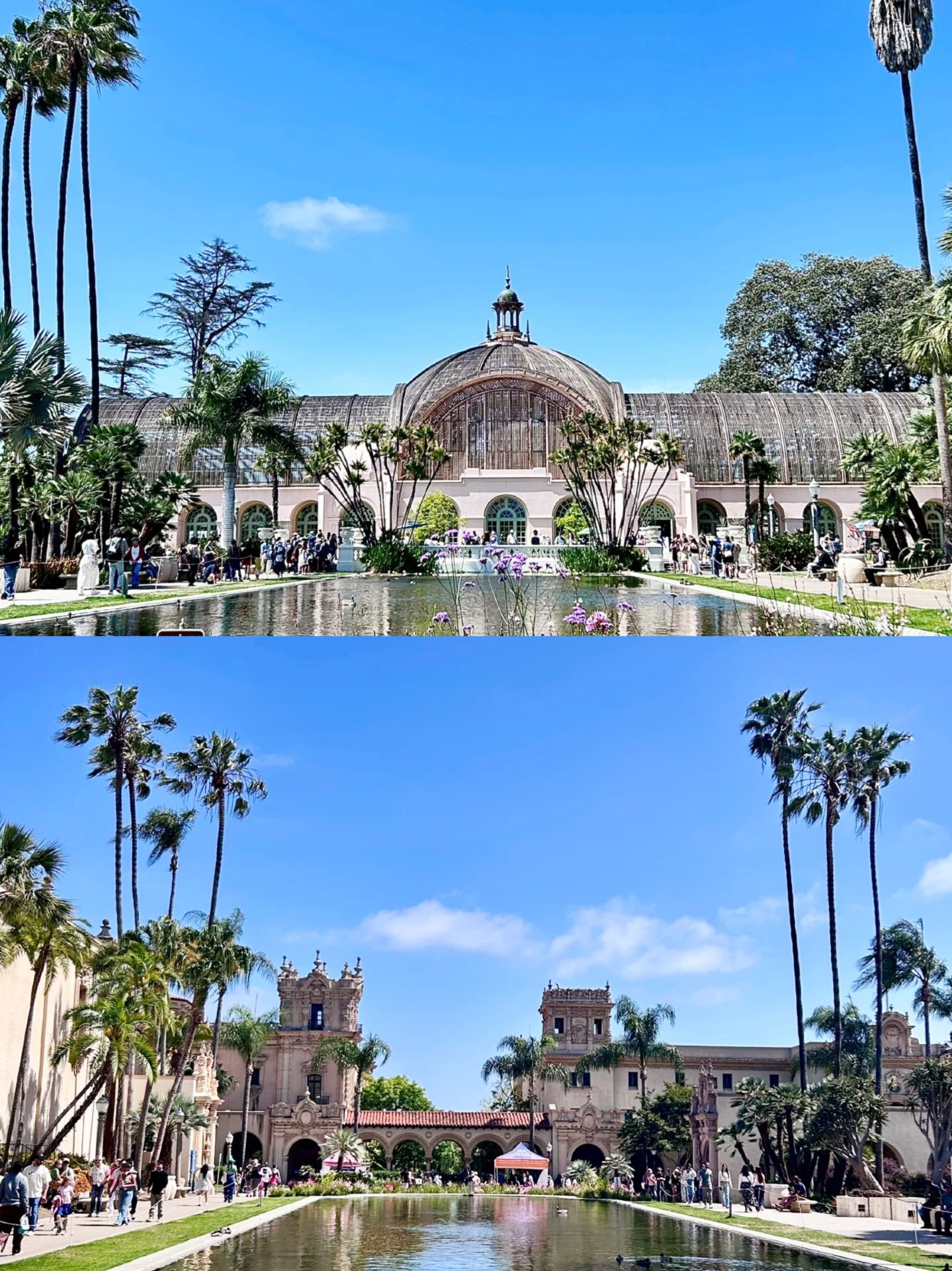 San Diego Must-Visit! A 1,200-Acre Cultural Oasis Babysitter-Level Guide