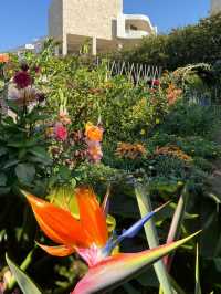 LA必衝|沉浸體驗Getty Center光影魔法