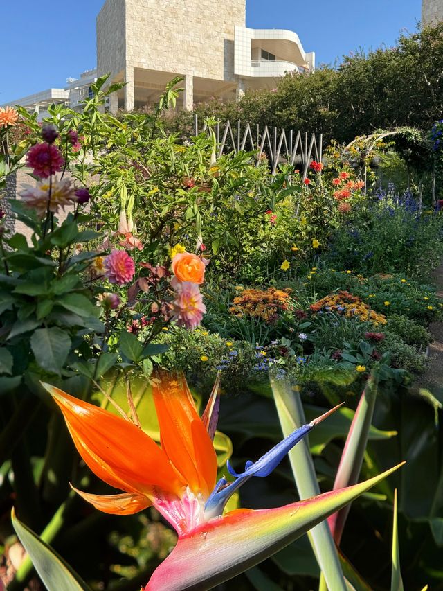 LA必衝|沉浸體驗Getty Center光影魔法