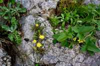 雅典 赴一場眾神的約會