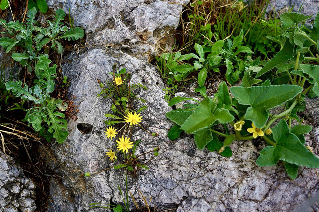 雅典 赴一場眾神的約會