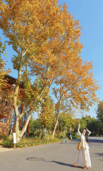 Dali, I forgive you! East Lake in Wuhan has healed me countless times