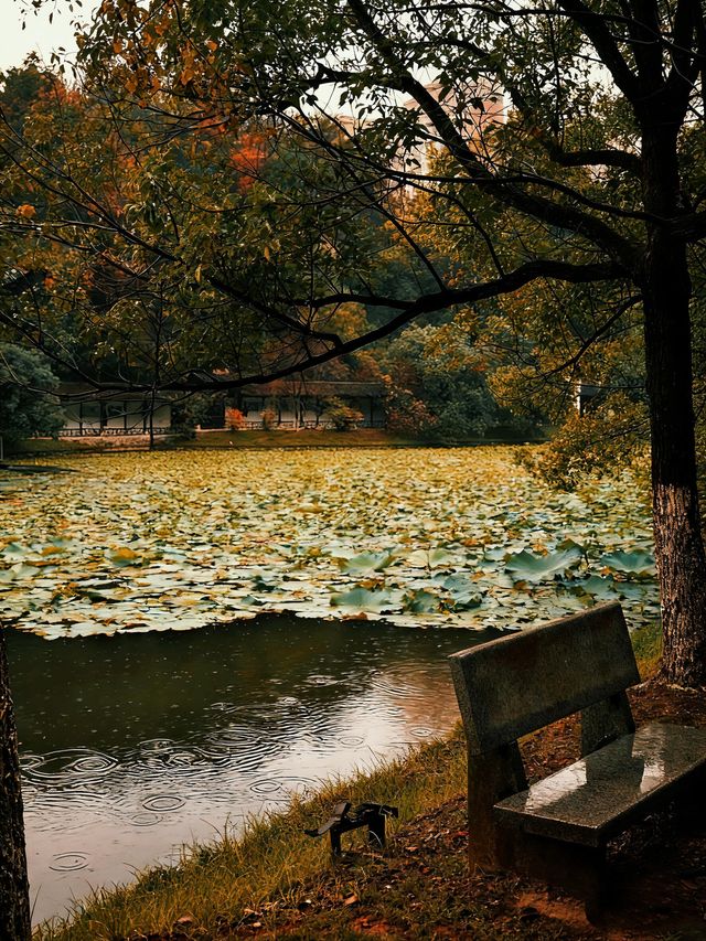 景德鎮剛回來,唯一沒踩雷超出預期的景點 景德鎮剛回來,唯一沒踩雷超出預期的景點