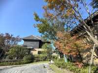 打卡100家親子酒店—25.啟東洲頤溫泉酒店