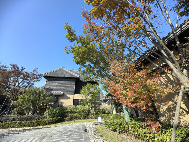 打卡100家親子酒店—25.啟東洲頤溫泉酒店 打卡100家親子酒店—25.啟東洲頤溫泉酒店