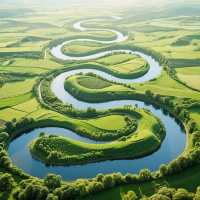 來一場說走就走的森林之旅吧