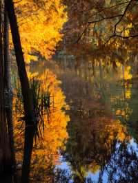 這不是燕雀湖這簡直是大自然的油畫