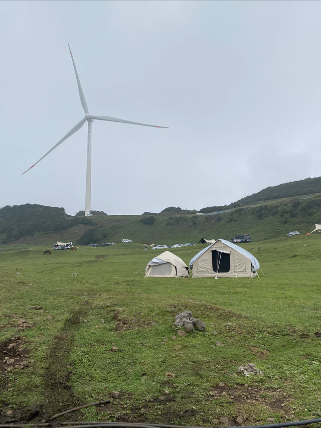 逃離城市計劃盤州烏蒙大草原自駕遊太治癒了！ 從鋼筋森林到遼闊草原，在攜程下單包車直接衝往烏蒙大草