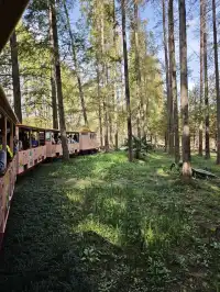 鹽城｜江蘇肯尼亞名不虛傳