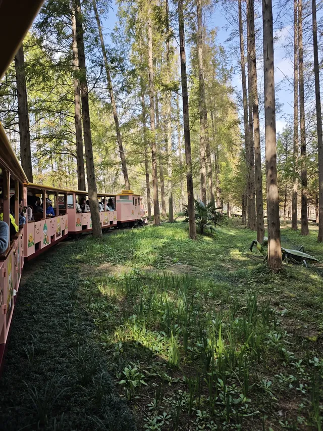 鹽城｜江蘇肯尼亞名不虛傳