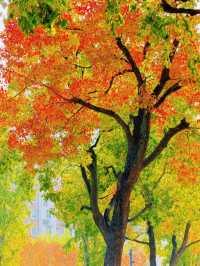 上海的秋日藝術巡禮