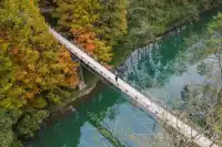 如果你去初冬裡的騰龍洞，將見到萬杉紅遍