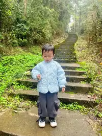 看2025年葛仙山最後一場銀杏雨11.16live