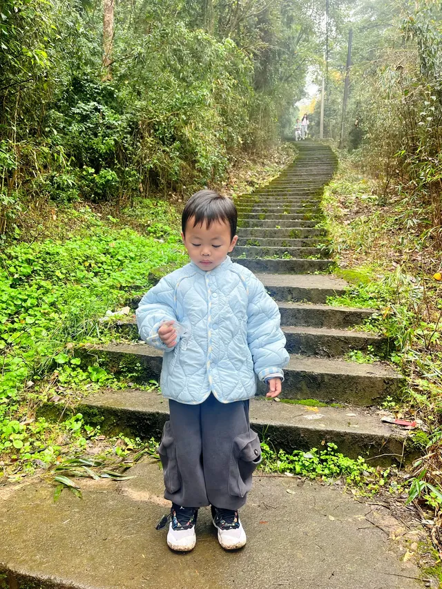 看2025年葛仙山最後一場銀杏雨11.16live