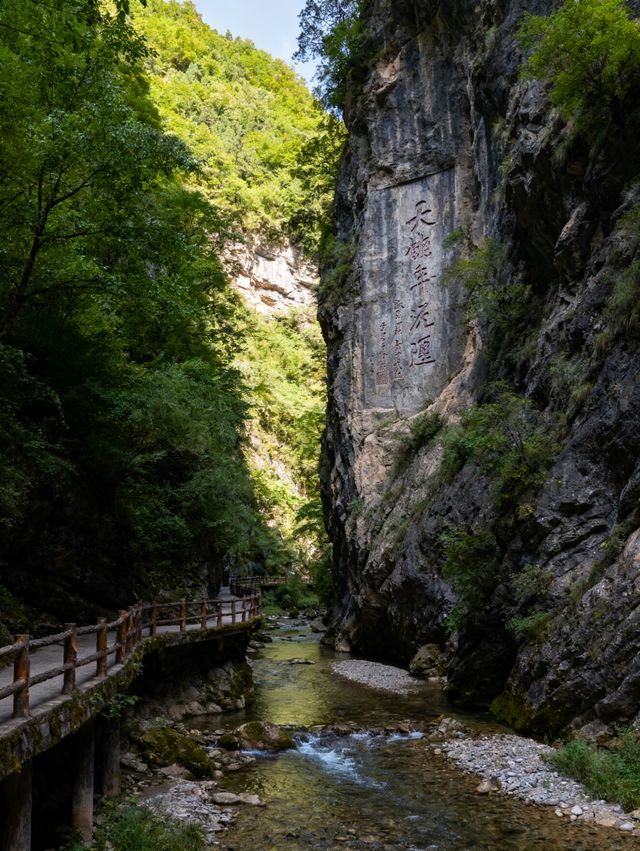 隴南4日遊 | 官鵝溝與萬象洞經典組合・全人群適配攻略 隴南4日遊 | 官鵝溝與萬象洞經典組合・全人群適配攻略