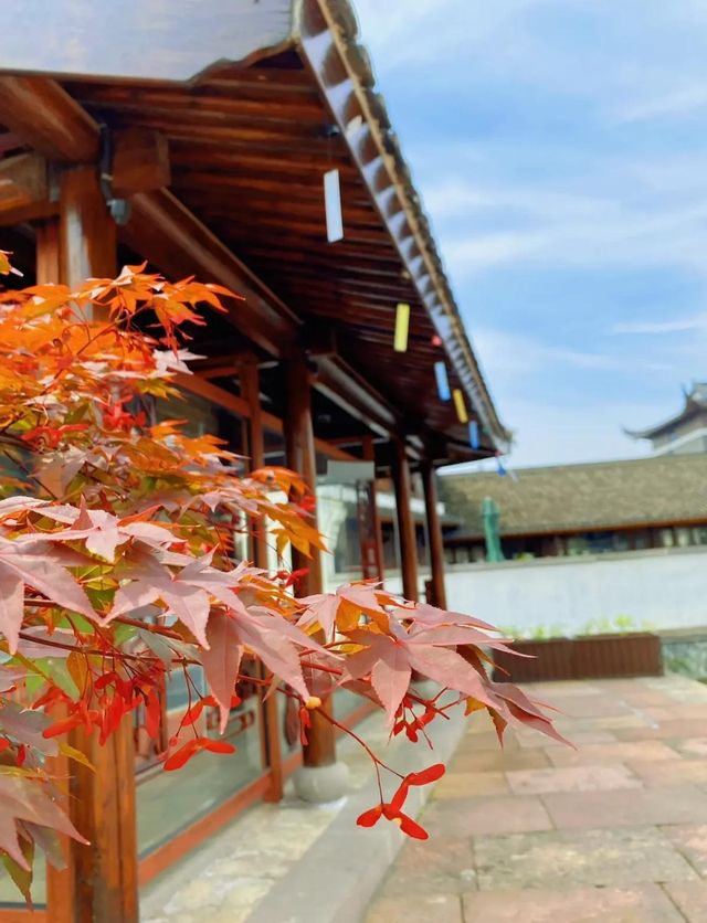 江南最後的秘境!慈城古鎮一日遊保姆級攻略 江南最後的秘境!慈城古鎮一日遊保姆級攻略