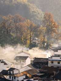 篁嶺秋色已達巔峰!千萬別錯過!