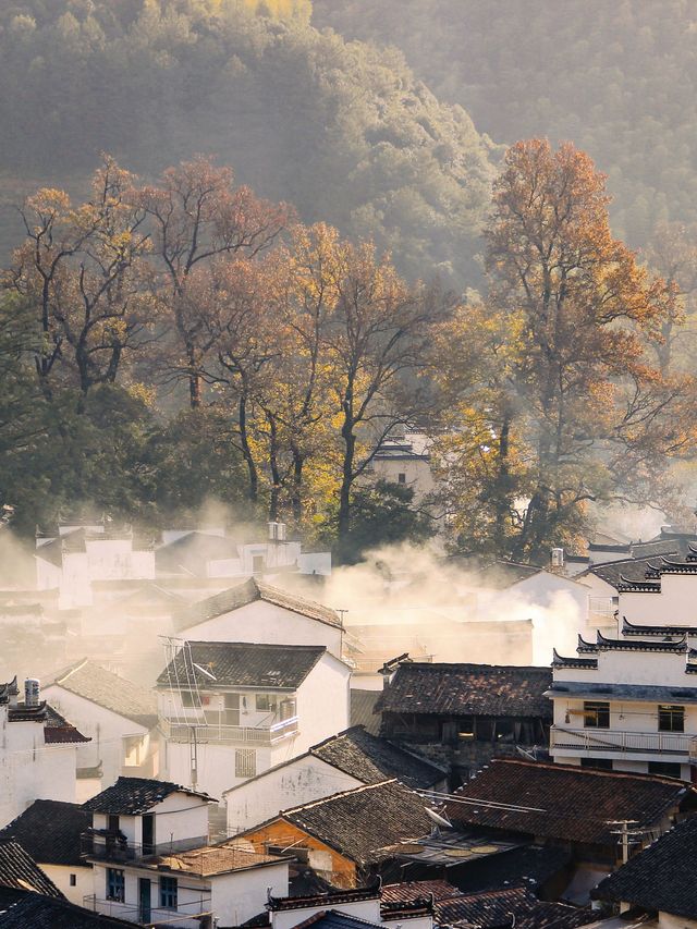 篁嶺秋色已達巔峰!千萬別錯過! 篁嶺秋色已達巔峰!千萬別錯過!