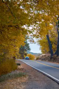 “南加無秋？”我不這麼認為喔