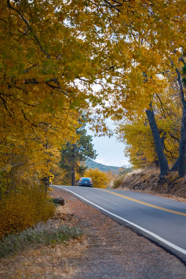 “南加無秋？”我不這麼認為喔