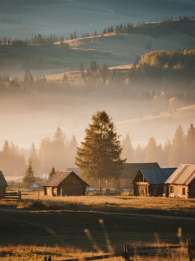 禾木親子1日遊攻略帶娃解鎖雪山秋景