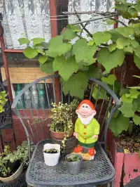 古咩那塞，大阪中崎町我真的愛不來！退退退！