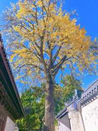 五磊山藏雲溪五磊寺環線賞秋