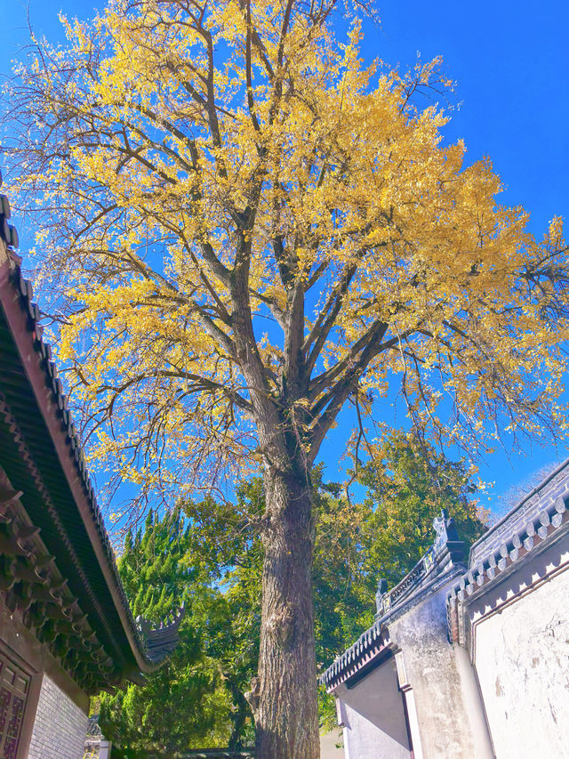 五磊山藏雲溪五磊寺環線賞秋