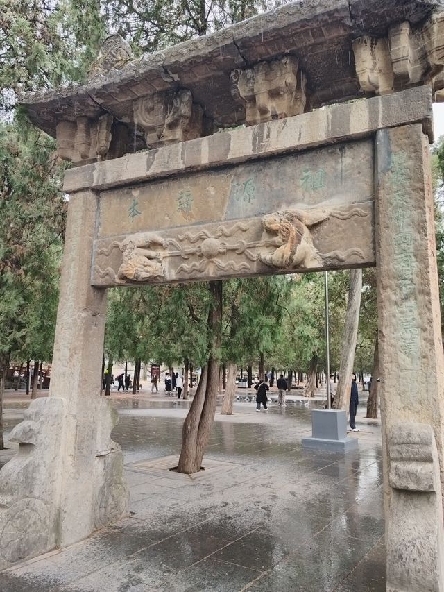 少林寺不僅有武學,還有銀杏! 少林寺不僅有武學,還有銀杏!