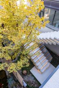 西安秋冬早市煙火與盛唐月光撞了個滿懷