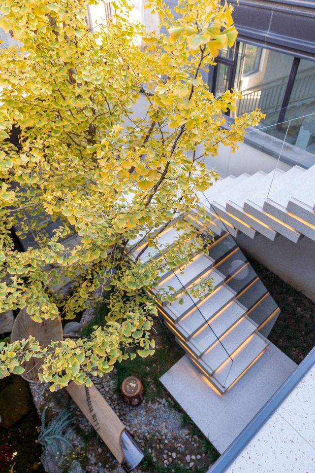 西安秋冬早市煙火與盛唐月光撞了個滿懷