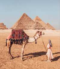 埃及10日深度遊 錯過後悔一輩子