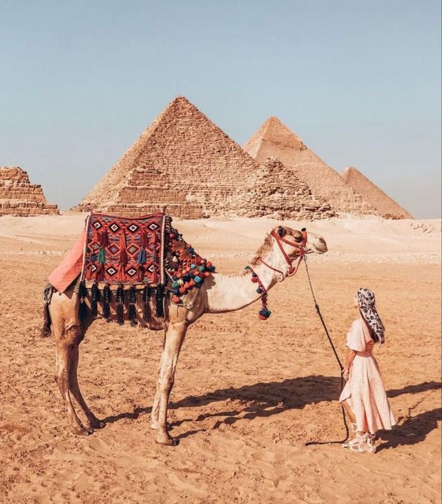 埃及10日深度遊 錯過後悔一輩子 埃及10日深度遊 錯過後悔一輩子
