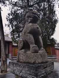 嵩山雨霧,塔影奇觀