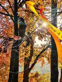 秋天又來了! 臨安指南村實況