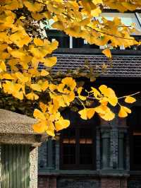 申城賞秋正當時