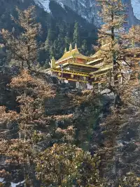 有一個地方叫做稻城……