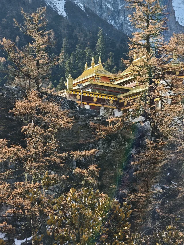 有一個地方叫做稻城……