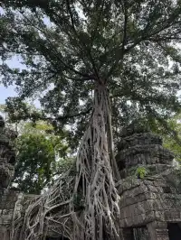 慢行吳哥 深入柬埔寨