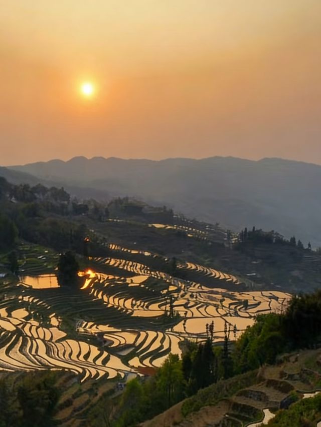 初冬壩達梯田遊玩攻略｜萬畝鎏金梯田間，解鎖少人知曉的暖調秘境