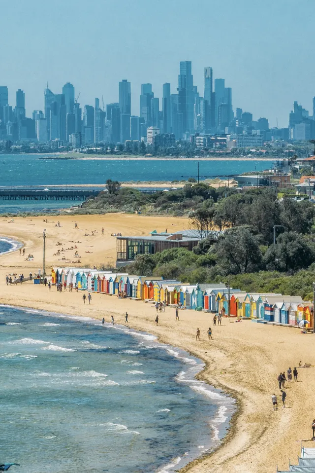 墨爾本海邊跑步,發現了現實版的瘋狂動物城 墨爾本海邊跑步,發現了現實版的瘋狂動物城