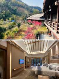 巴馬夜溫泉必打卡長壽鄉私湯TOP1