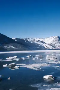 喀納斯冬日夢境|12月闖入冰封童話秘境