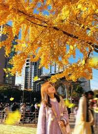 金色暴擊!上海黃金城道銀杏濃度已滿格!