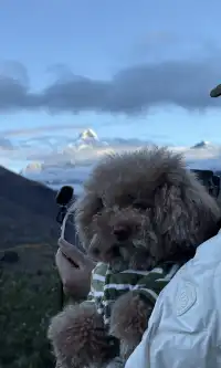 川西｜真的好幸運 拍到日照金山了！還有彩林