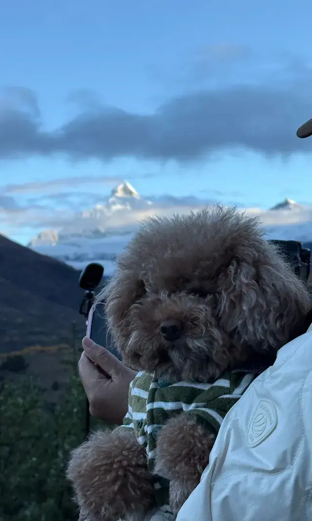 川西｜真的好幸運 拍到日照金山了！還有彩林