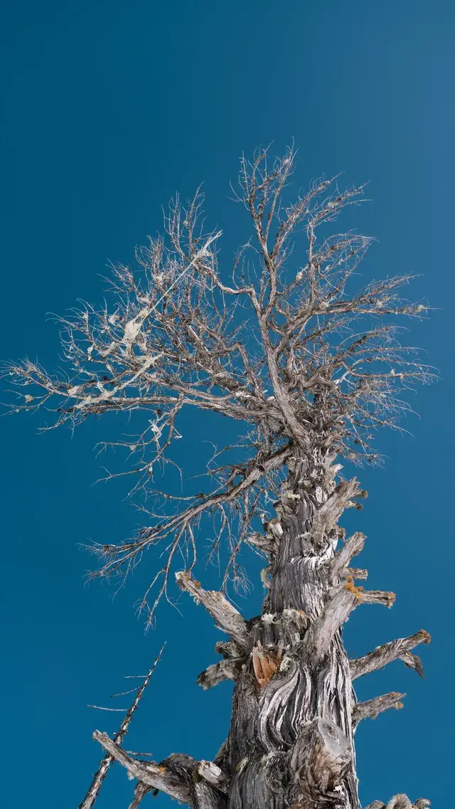 川西自駕三千公里,就是為了這十八張照片 川西自駕三千公里,就是為了這十八張照片