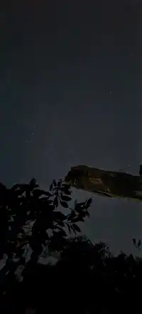 上海出發~三清山篁嶺兩日遊(三清山篇)