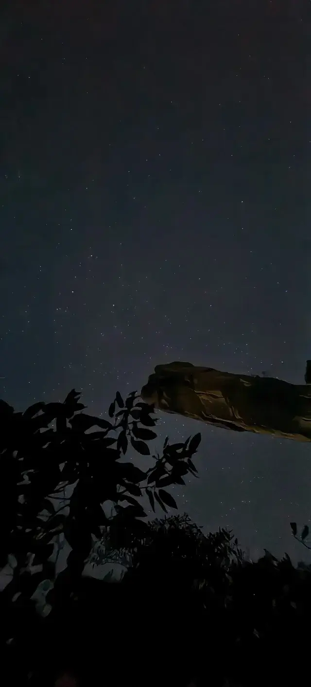 上海出發~三清山篁嶺兩日遊(三清山篇) 上海出發~三清山篁嶺兩日遊(三清山篇)