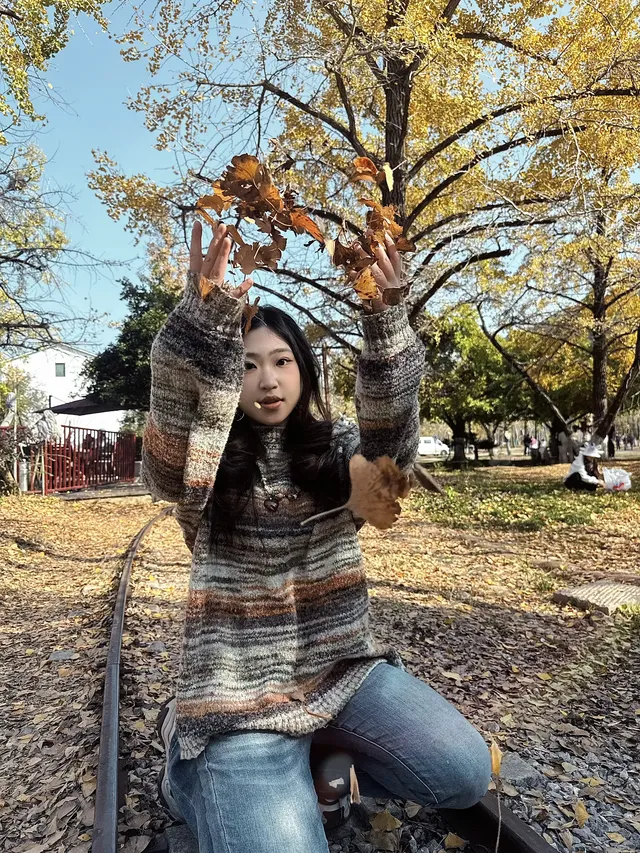 12.1湖州長興銀杏live實錄,秋日感秒get 12.1湖州長興銀杏live實錄,秋日感秒get